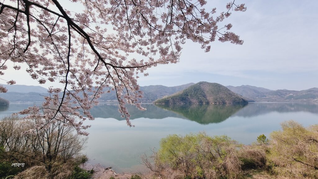 দক্ষিণ কোরিয়ার বসন্ত